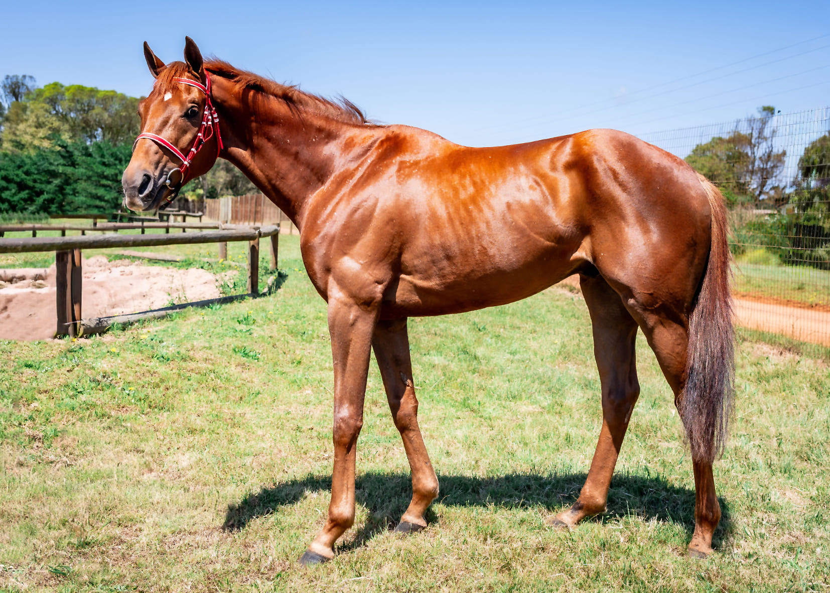 2025-10-29-Mafiabagsthemoney-2