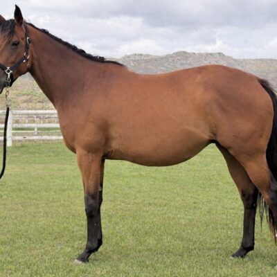 DOLCEZZA & 25DOLCEZZA