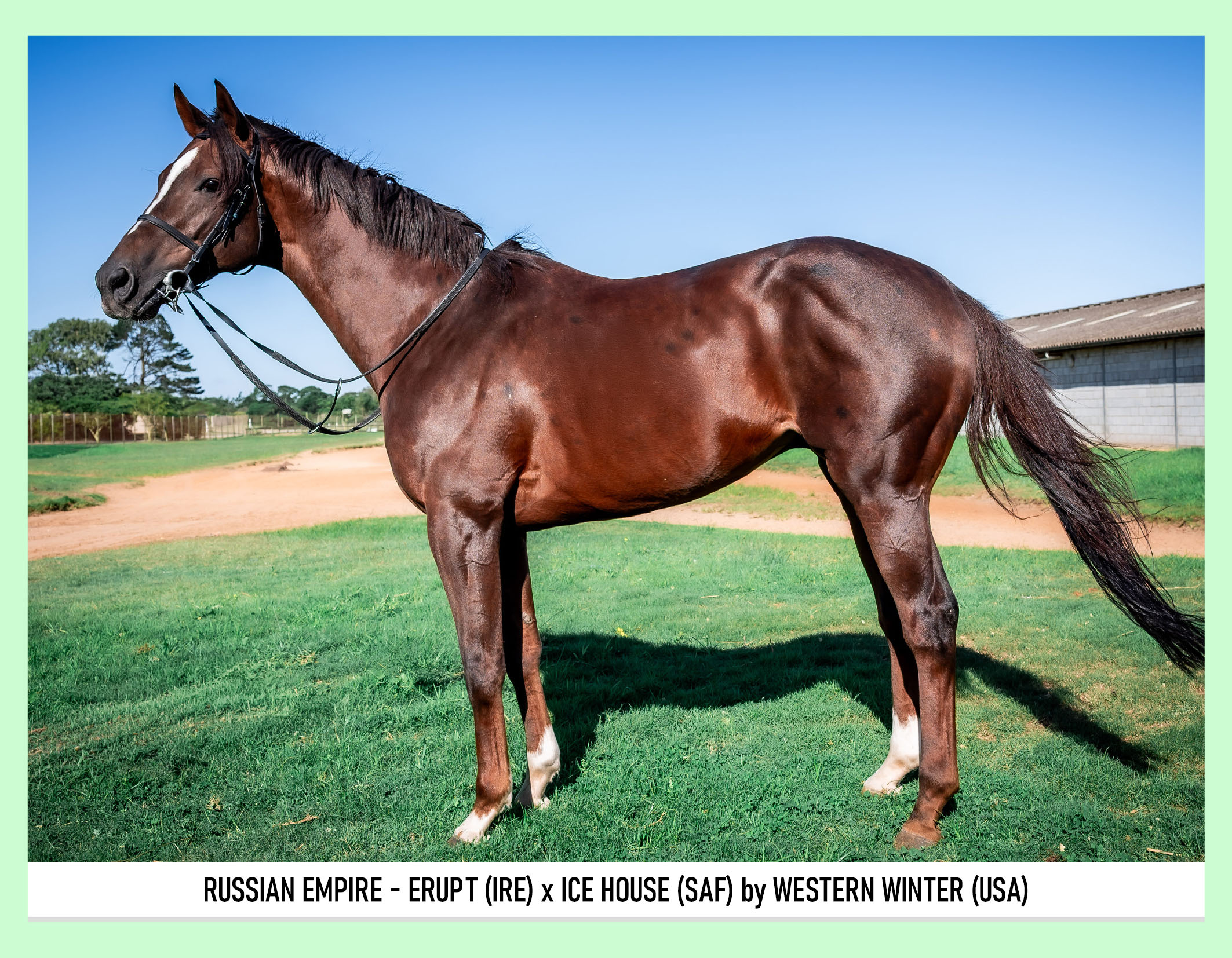 1-RUSSIAN-EMPIRE-PIXIMANZI-PTY-LTD-BSA-APRIL-ONLINE-2