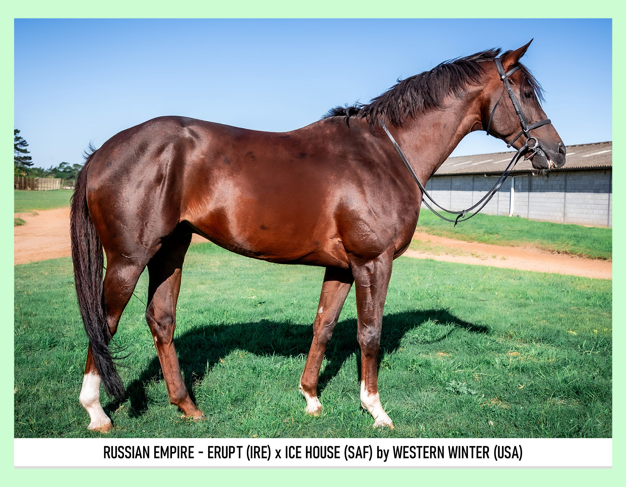 1-RUSSIAN-EMPIRE-PIXIMANZI-PTY-LTD-BSA-APRIL-ONLINE-3