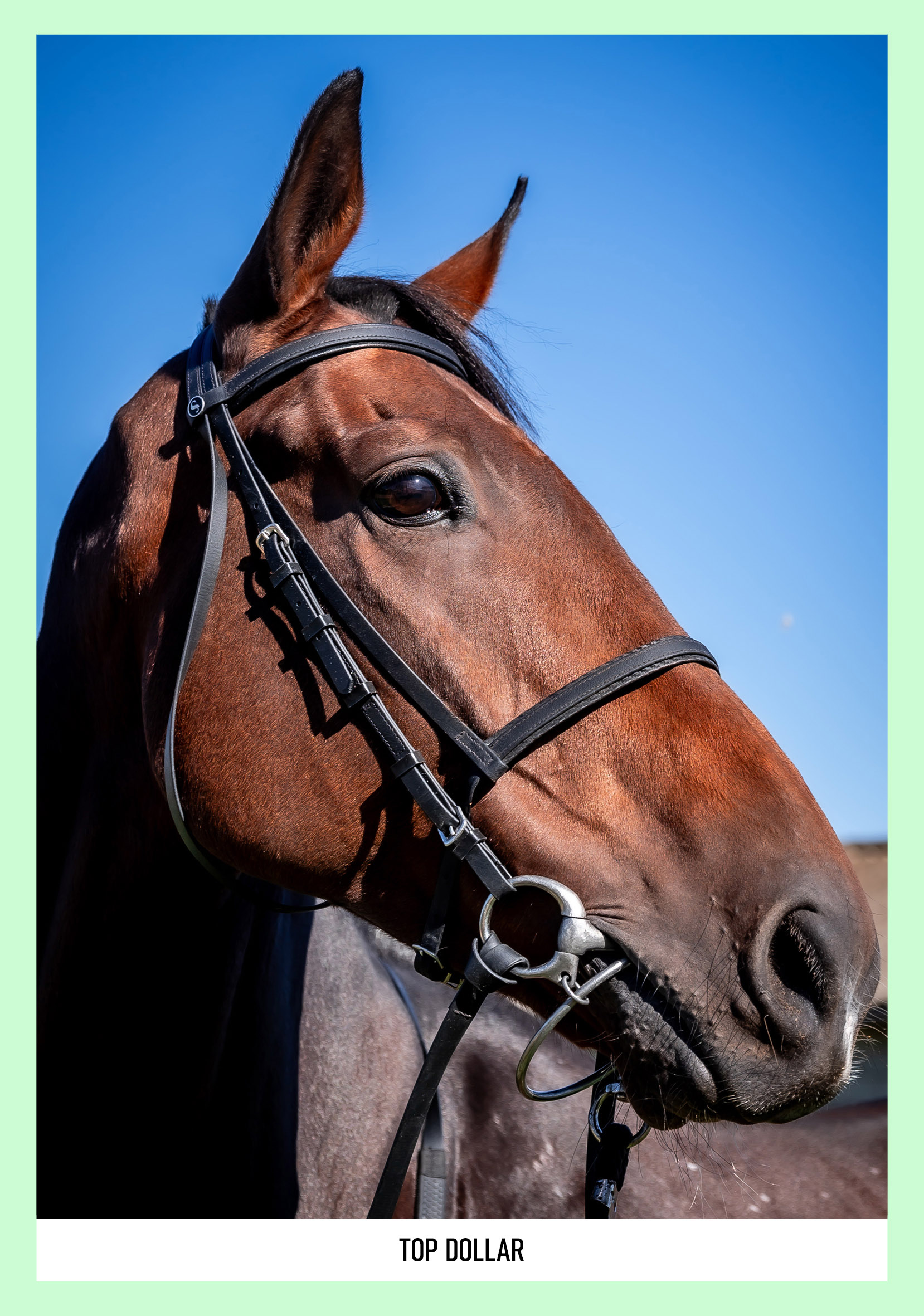 1-TOP-DOLLAR-PIXIMANZI-PTY-LTD-BSA-APRIL-ONLINE-1