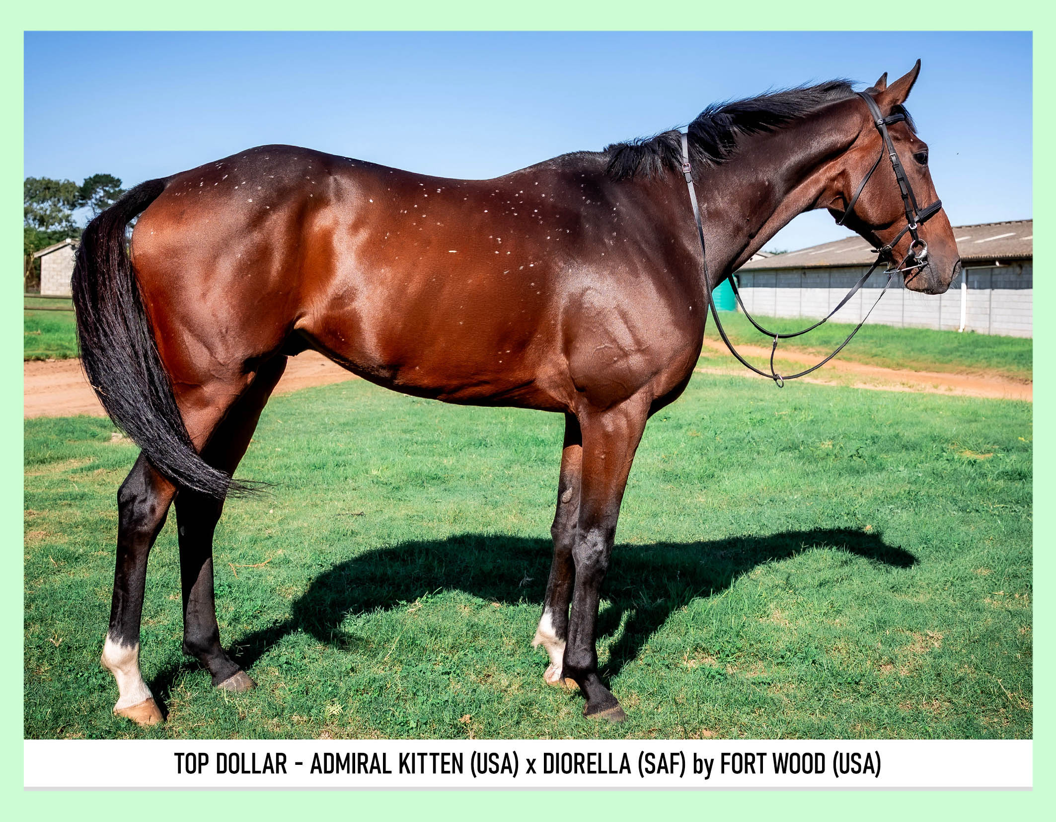 1-TOP-DOLLAR-PIXIMANZI-PTY-LTD-BSA-APRIL-ONLINE-2