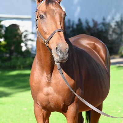 MONPAZIER & 2025MONPAZIER