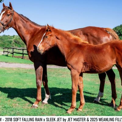 AERIAL VIEW & 25AERIAL VIEW