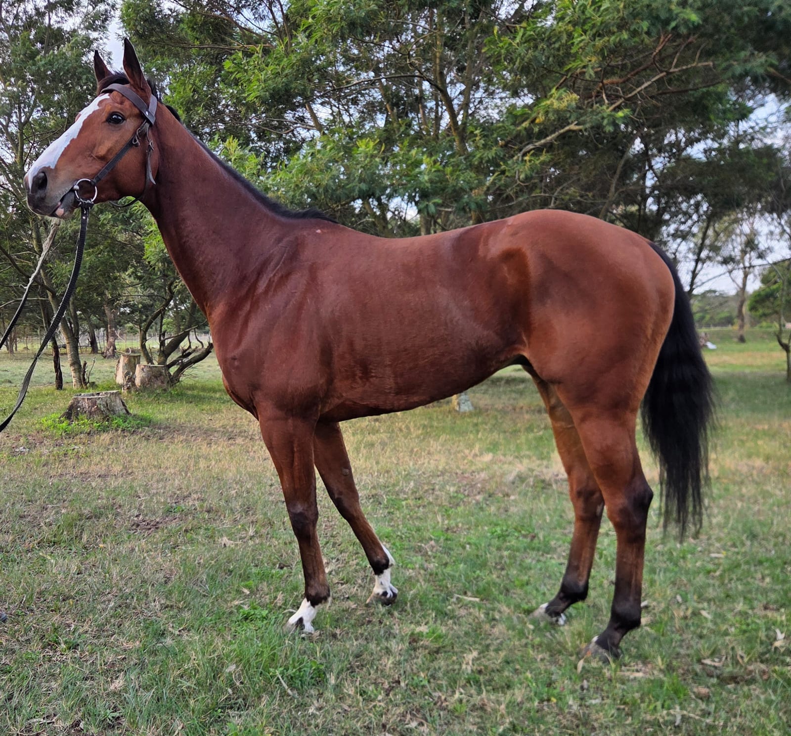 Global State