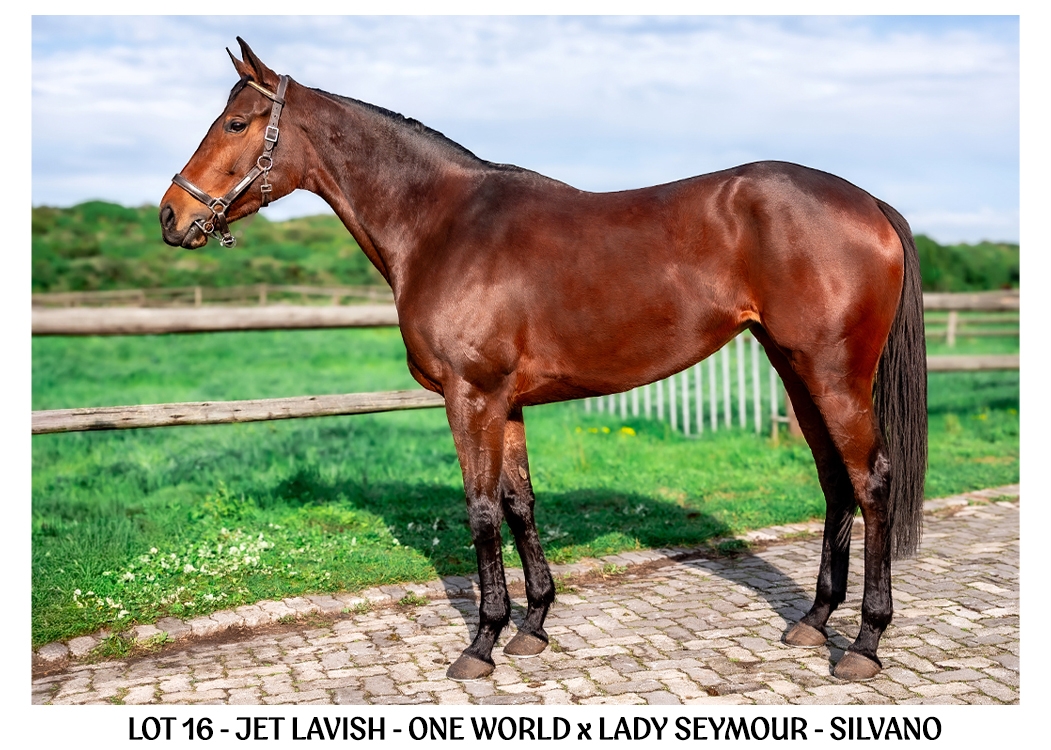 JET-LAVISH-BSA-ONLINE-JULY-2026-3
