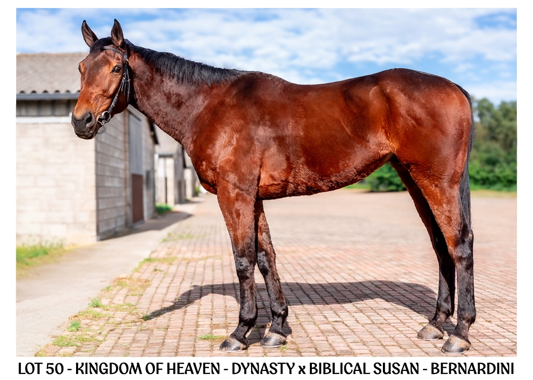 LOT-50-KINGDOM-OF-HEAVEN-2-BSA-ONLINE-JULY-2026