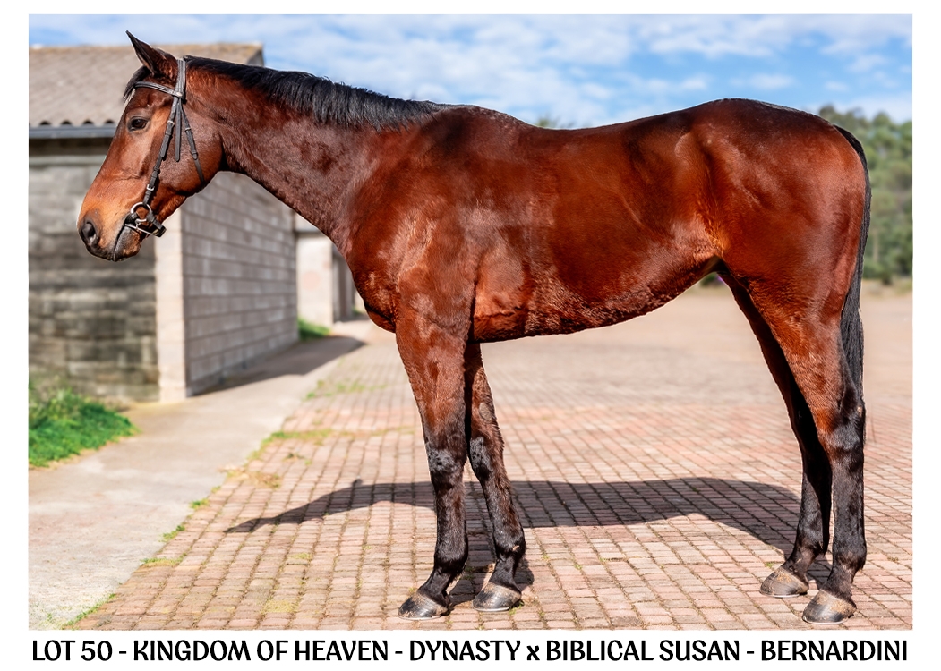 LOT-50-KINGDOM-OF-HEAVEN-BSA-ONLINE-JULY-2026