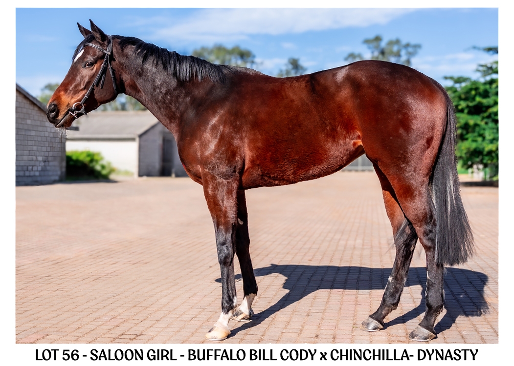 LOT-56-SALOON-GIRL-2-BSA-ONLINE-JULY-2026
