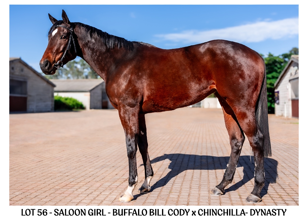 LOT-56-SALOON-GIRL-BSA-ONLINE-JULY-2026